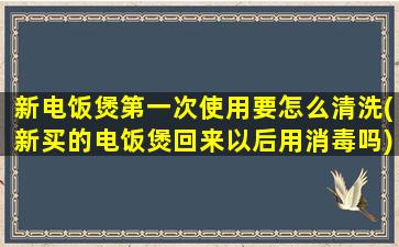 新电饭煲第一次使用要怎么清洗(新买的电饭煲回来以后用消毒吗)