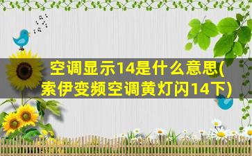 空调显示14是什么意思(索伊变频空调黄灯闪14下)