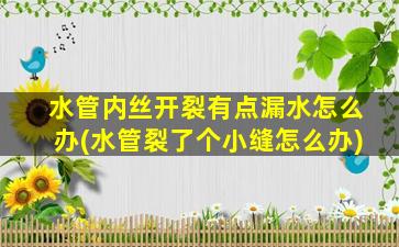 水管内丝开裂有点漏水怎么办(水管裂了个小缝怎么办)