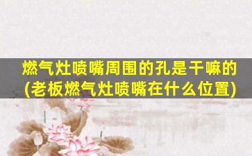 燃气灶喷嘴周围的孔是干嘛的(老板燃气灶喷嘴在什么位置)