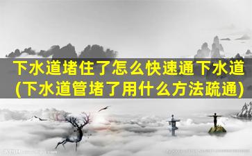 下水道堵住了怎么快速通下水道(下水道管堵了用什么方法疏通)