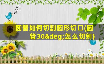 圆管如何切割圆形切口(圆管30°怎么切割)