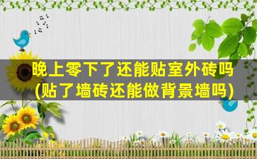 晚上零下了还能贴室外砖吗(贴了墙砖还能做背景墙吗)