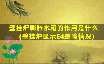 壁挂炉膨胀水箱的作用是什么(壁挂炉显示E4是啥情况)