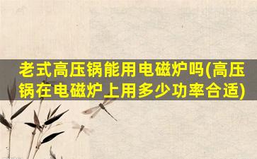 老式高压锅能用电磁炉吗(高压锅在电磁炉上用多少功率合适)