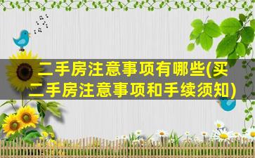 二手房注意事项有哪些(买二手房注意事项和手续须知)