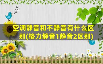 空调静音和不静音有什么区别(格力静音1静音2区别)