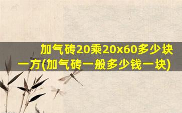 加气砖20乘20x60多少块一方(加气砖一般多少钱一块)
