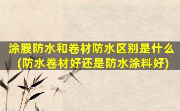 涂膜防水和卷材防水区别是什么(防水卷材好还是防水涂料好)