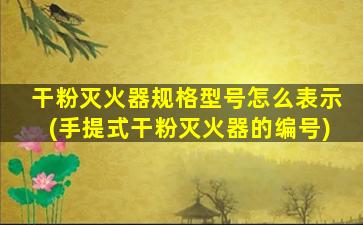 干粉灭火器规格型号怎么表示(手提式干粉灭火器的编号)