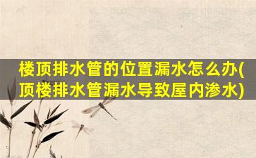 楼顶排水管的位置漏水怎么办(顶楼排水管漏水导致屋内渗水)