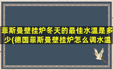 菲斯曼壁挂炉冬天的最佳水温是多少(德国菲斯曼壁挂炉怎么调水温)