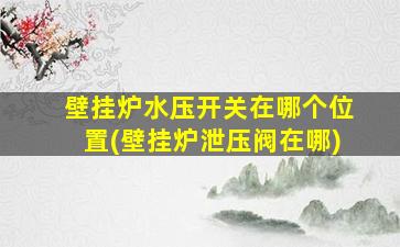 壁挂炉水压开关在哪个位置(壁挂炉泄压阀在哪)