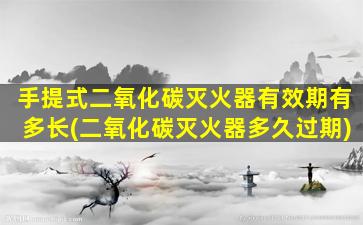 手提式二氧化碳灭火器有效期有多长(二氧化碳灭火器多久过期)