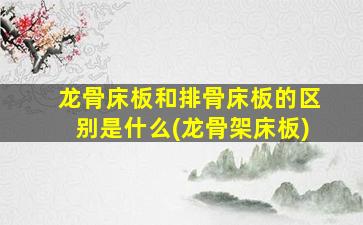 龙骨床板和排骨床板的区别是什么(龙骨架床板)
