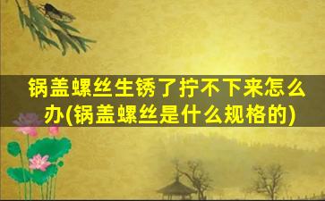 锅盖螺丝生锈了拧不下来怎么办(锅盖螺丝是什么规格的)
