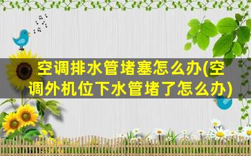 空调排水管堵塞怎么办(空调外机位下水管堵了怎么办)