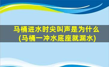 马桶进水时尖叫声是为什么(马桶一冲水底座就漏水)