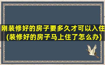刚装修好的房子要多久才可以入住(装修好的房子马上住了怎么办)