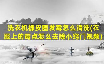 洗衣机橡皮圈发霉怎么清洗(衣服上的霉点怎么去除小窍门视频)