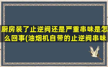 厨房装了止逆阀还是严重串味是怎么回事(油烟机自带的止逆阀串味)