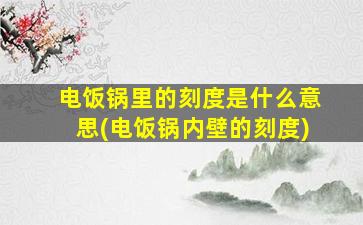 电饭锅里的刻度是什么意思(电饭锅内壁的刻度)