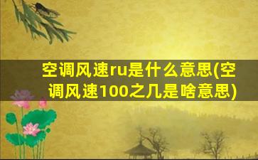 空调风速ru是什么意思(空调风速100之几是啥意思)