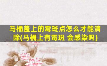 马桶盖上的霉斑点怎么才能清除(马桶上有霉斑 会感染吗)