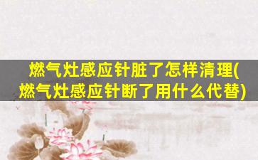 燃气灶感应针脏了怎样清理(燃气灶感应针断了用什么代替)