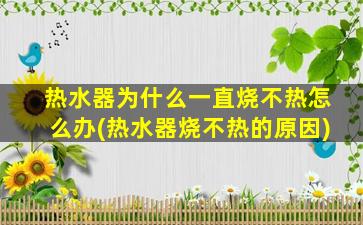 热水器为什么一直烧不热怎么办(热水器烧不热的原因)