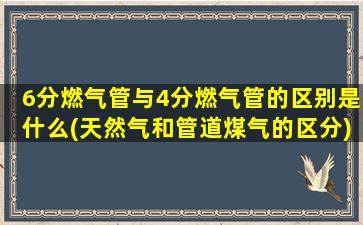 6分燃气管与4分燃气管的区别是什么(天然气和管道煤气的区分)