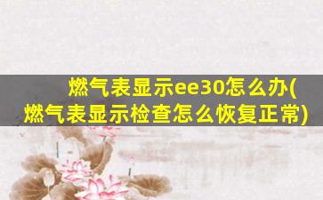 燃气表显示ee30怎么办(燃气表显示检查怎么恢复正常)