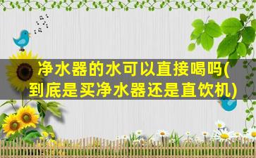 净水器的水可以直接喝吗(到底是买净水器还是直饮机)