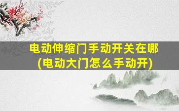 电动伸缩门手动开关在哪(电动大门怎么手动开)