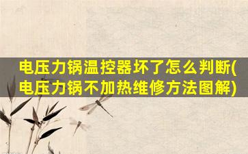 电压力锅温控器坏了怎么判断(电压力锅不加热维修方法图解)