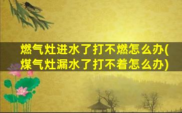 燃气灶进水了打不燃怎么办(煤气灶漏水了打不着怎么办)