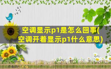 空调显示p1是怎么回事(空调开着显示p1什么意思)