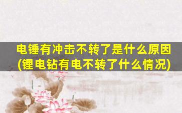 电锤有冲击不转了是什么原因(锂电钻有电不转了什么情况)