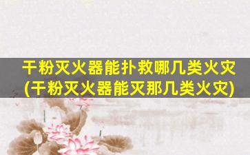 干粉灭火器能扑救哪几类火灾(干粉灭火器能灭那几类火灾)