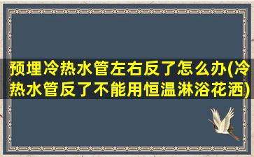 预埋冷热水管左右反了怎么办(冷热水管反了不能用恒温淋浴花洒)