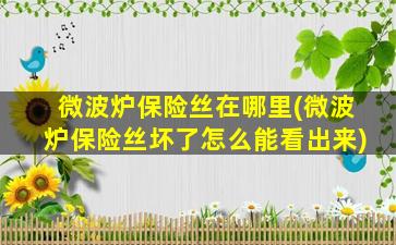 微波炉保险丝在哪里(微波炉保险丝坏了怎么能看出来)