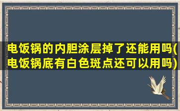 电饭锅的内胆涂层掉了还能用吗(电饭锅底有白色斑点还可以用吗)