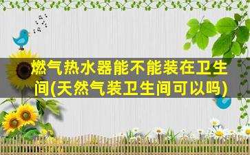 燃气热水器能不能装在卫生间(天然气装卫生间可以吗)