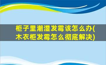 柜子里潮湿发霉该怎么办(木衣柜发霉怎么彻底解决)