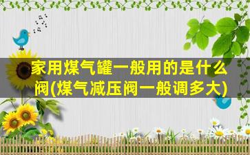 家用煤气罐一般用的是什么阀(煤气减压阀一般调多大)