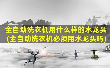 全自动洗衣机用什么样的水龙头(全自动洗衣机必须用水龙头吗)
