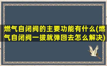 燃气自闭阀的主要功能有什么(燃气自闭阀一拔就弹回去怎么解决)