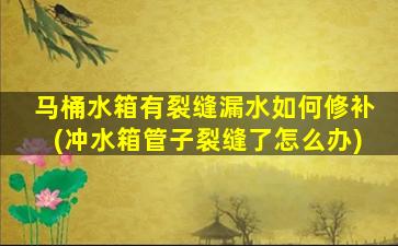 马桶水箱有裂缝漏水如何修补(冲水箱管子裂缝了怎么办)