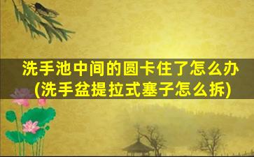洗手池中间的圆卡住了怎么办(洗手盆提拉式塞子怎么拆)