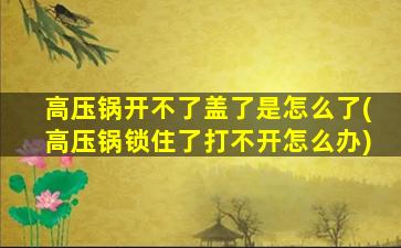 高压锅开不了盖了是怎么了(高压锅锁住了打不开怎么办)